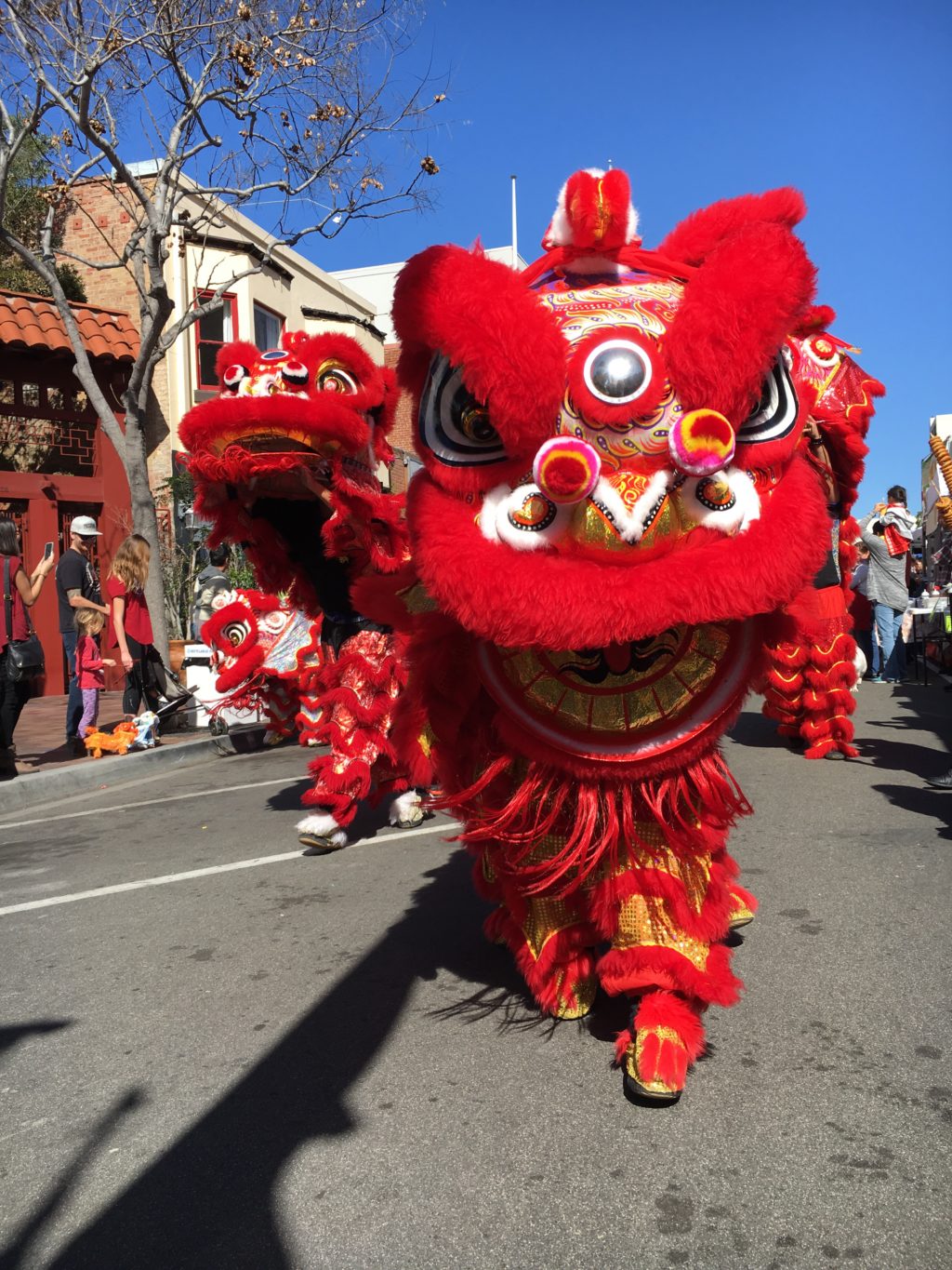 Lunar New Year San Diego! Passport Diaries