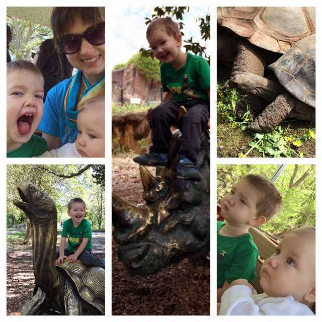 surprise-passport-diaries